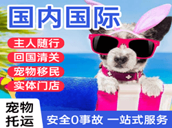巴彦淖尔空运国际宠物托运 【国
